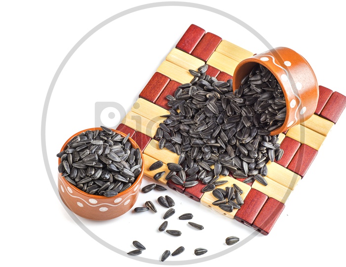 Sunflower Seeds in Clay Pots isolated on white background. Helianthus annuus