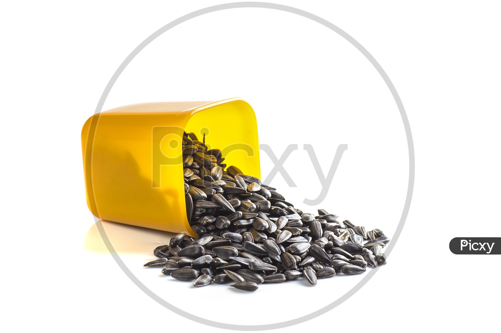 Sunflower seeds in plastic jars on a isolated white background