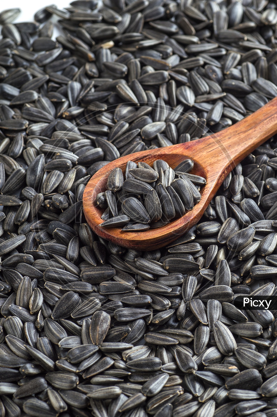 Sunflower seeds and Wooden spoon on a isolated white background