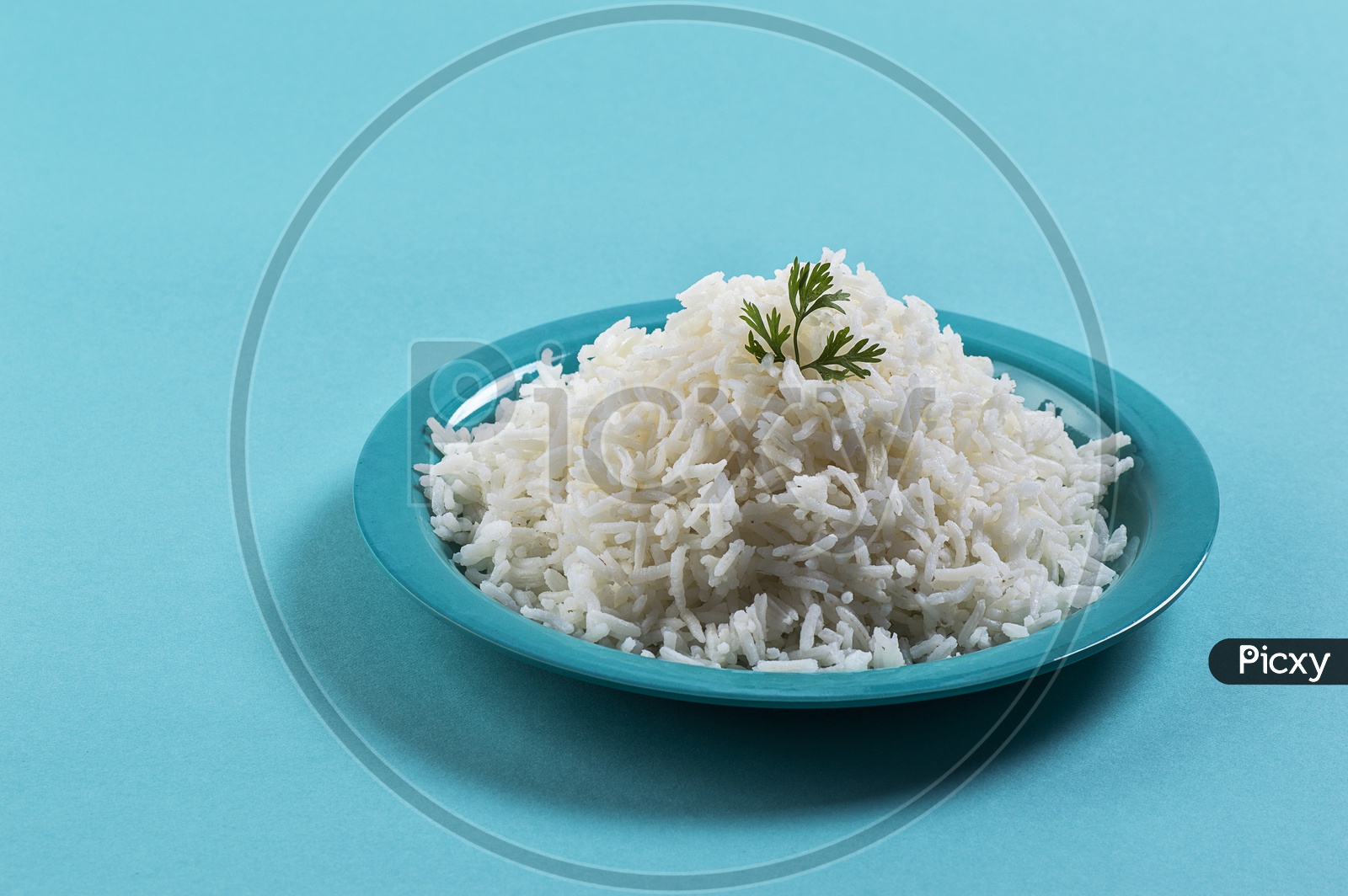 Cooked plain white basmati rice with coriander in a blue plate on blue background