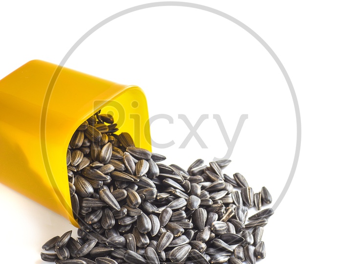 Sunflower seeds in plastic jar on a isolated white background