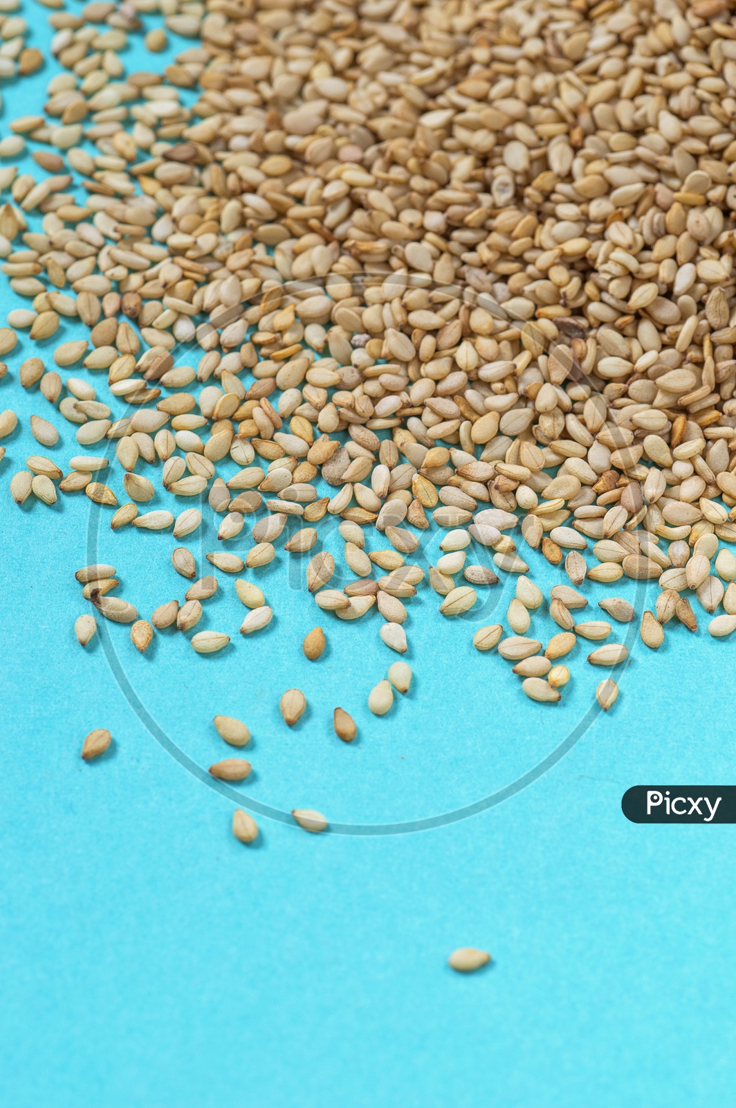 Close up shot of Sesame Seeds on blue background