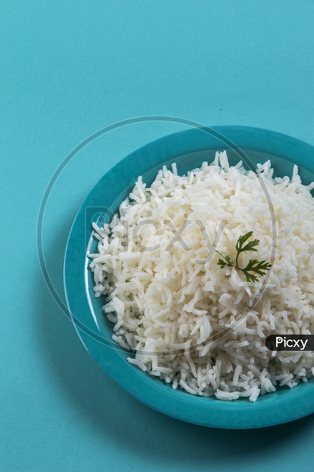 Cooked plain white basmati rice with coriander in a blue plate on blue background