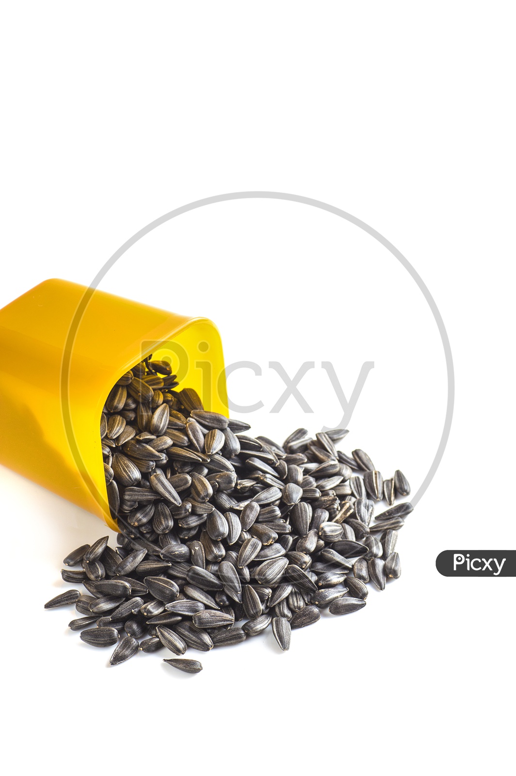Sunflower seeds in plastic jar on a isolated white background