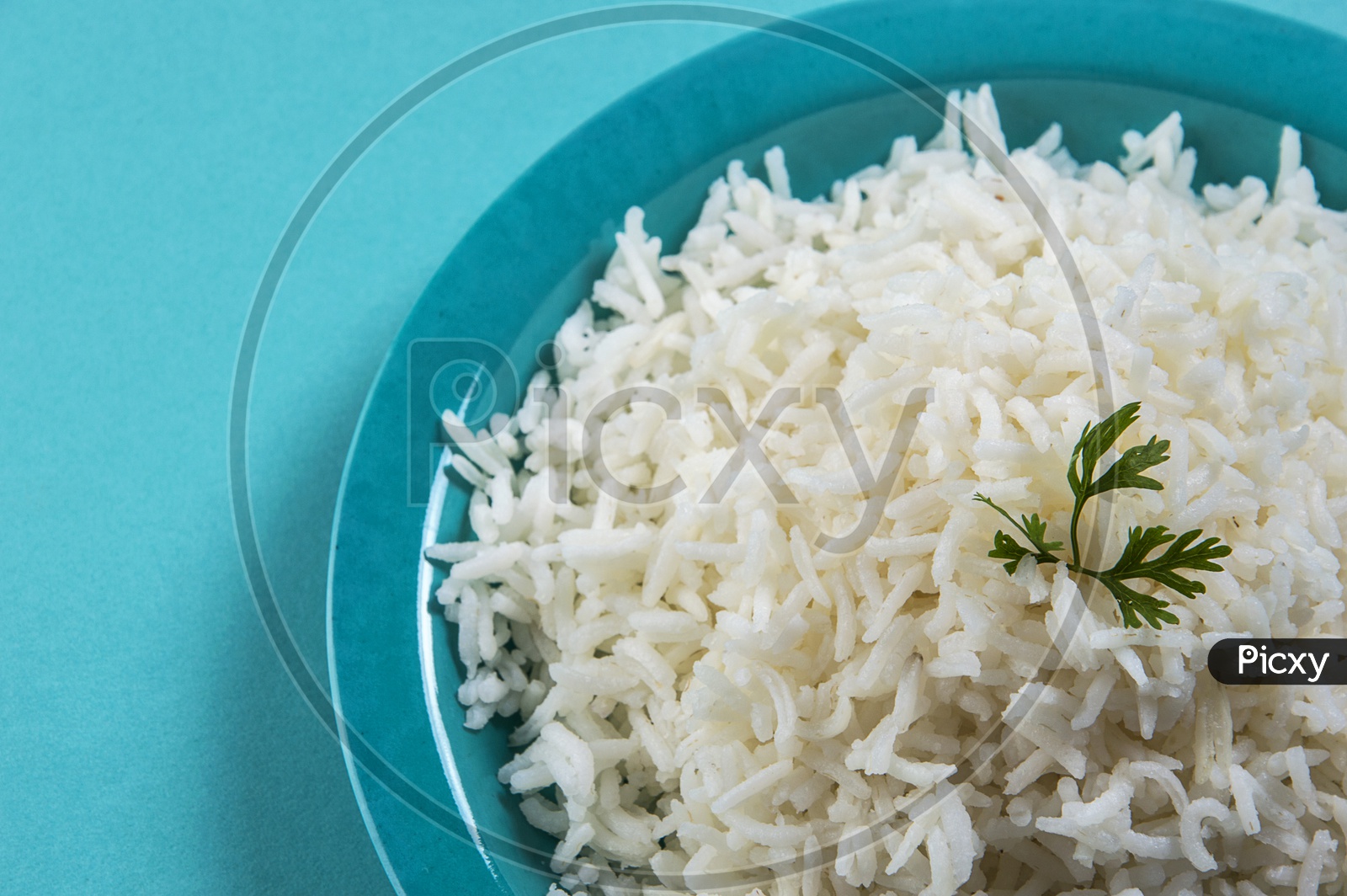 Cooked plain white basmati rice with corriander in a blue plate on blue background