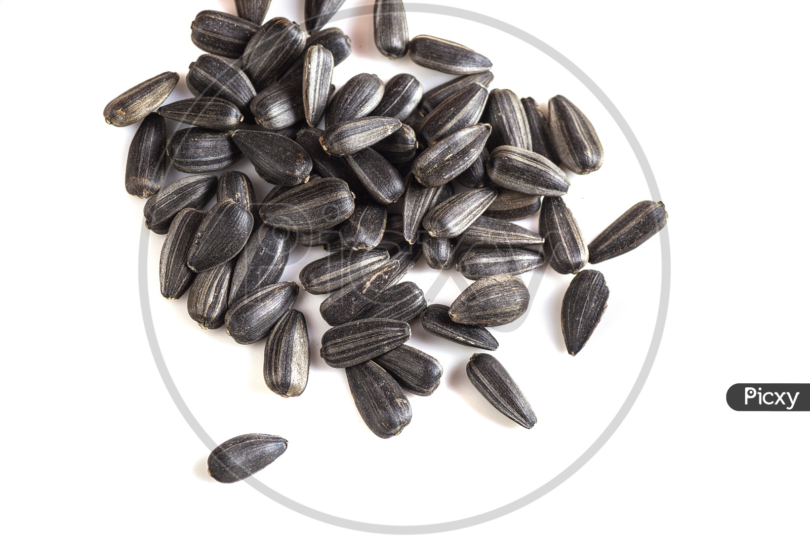 Sunflower seeds on a isolated white background