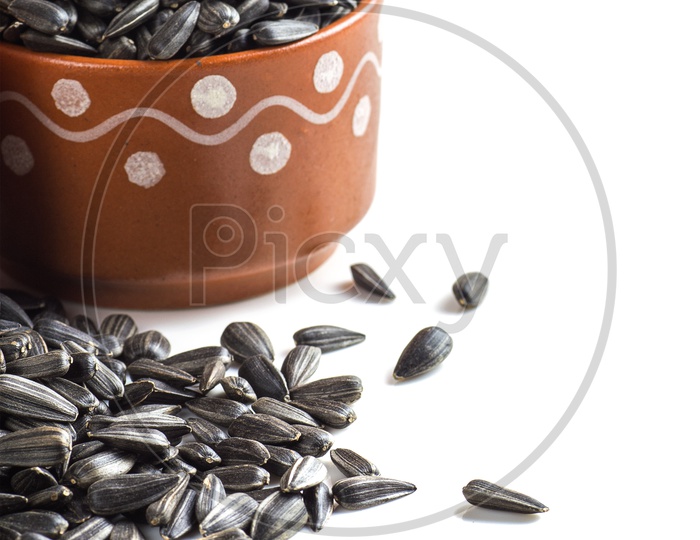 Sunflower Seeds in Clay Pots isolated on white background. Helianthus annuus