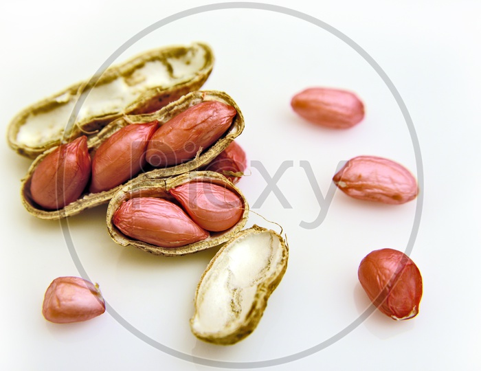 Peanuts scattered on white background