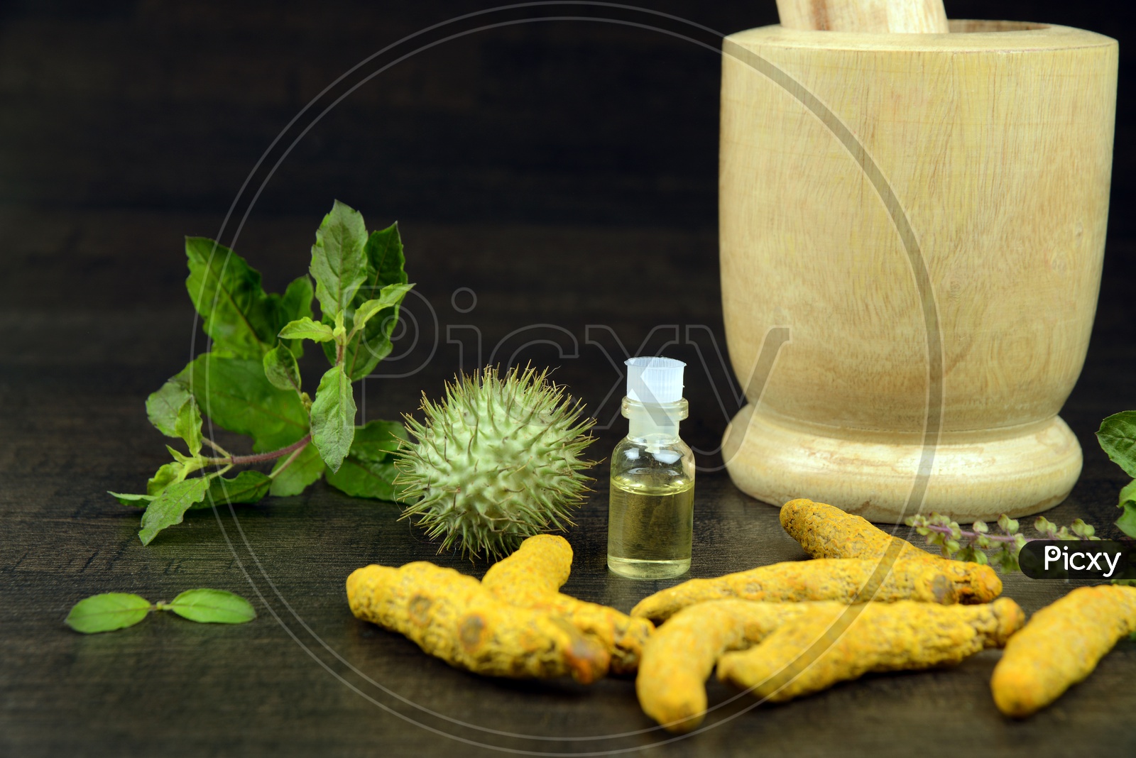 Holy Basil or Tulsi, Turmeric root, Datura fruit  or thorn apple with essential oil