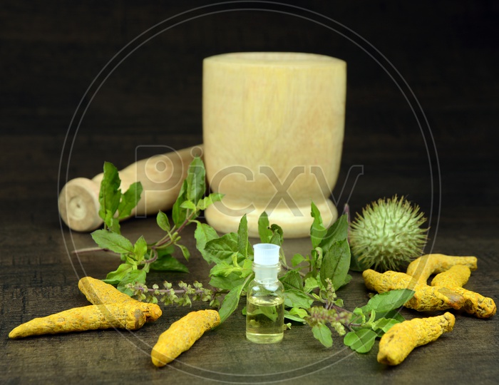 Holy Basil or Tulsi, Turmeric root, Datura fruit  or thorn apple with essential oil