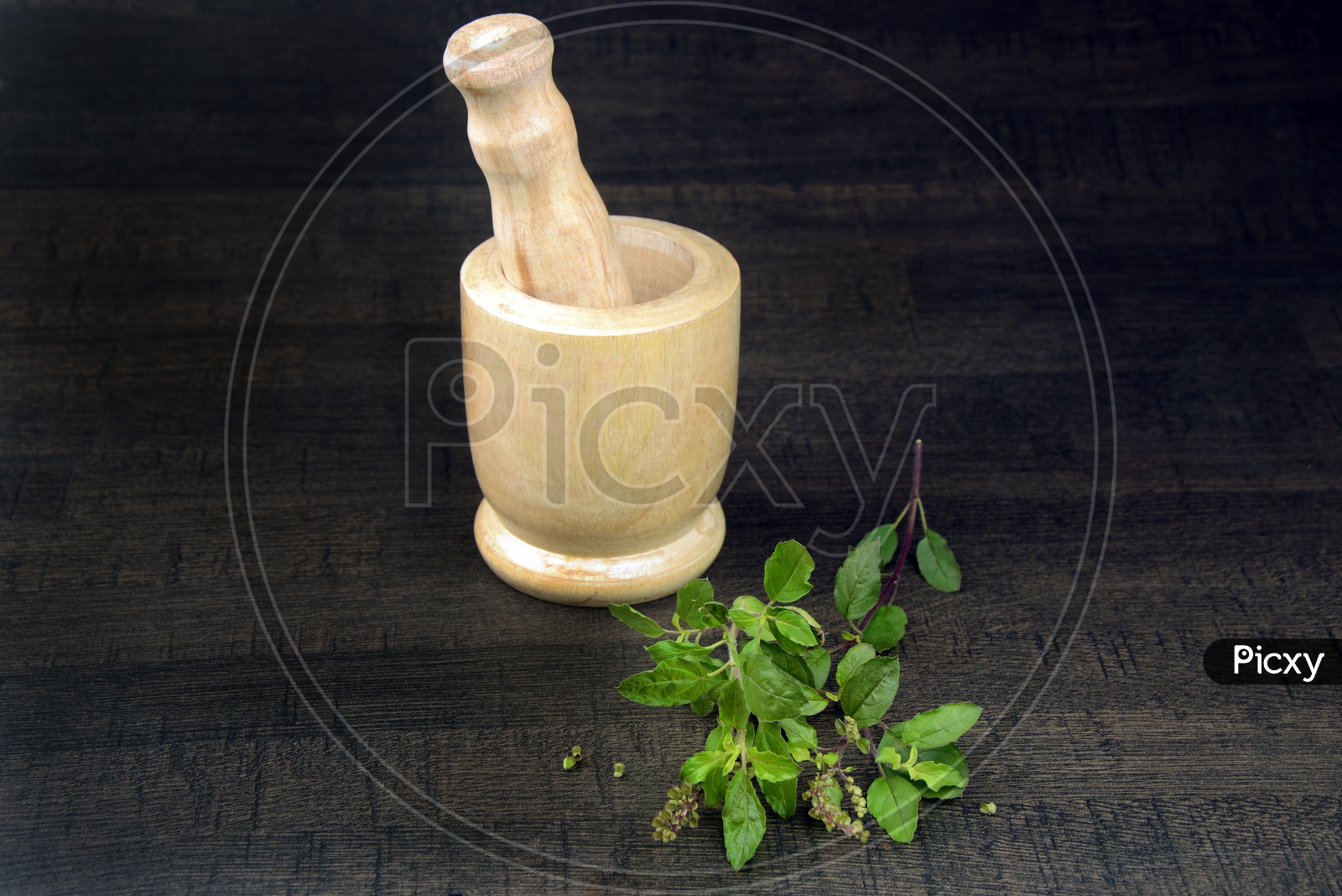 Holy Basil or Tulsi with wooden mortar