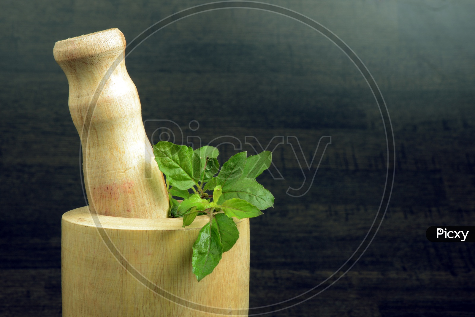 Holy Basil or Tulsi with wooden mortar