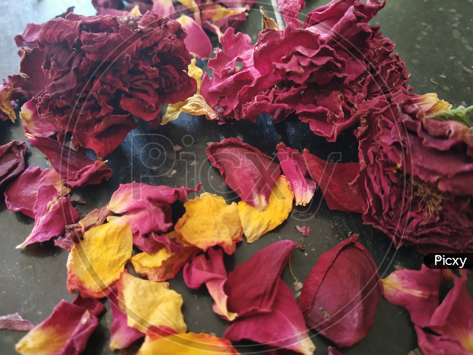 Sun dried Rose flowers and petals