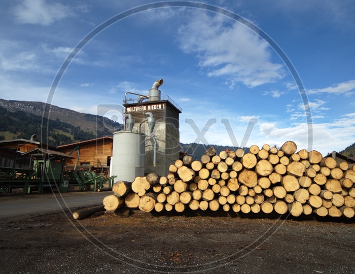 Wood Logs In a Timber Depot