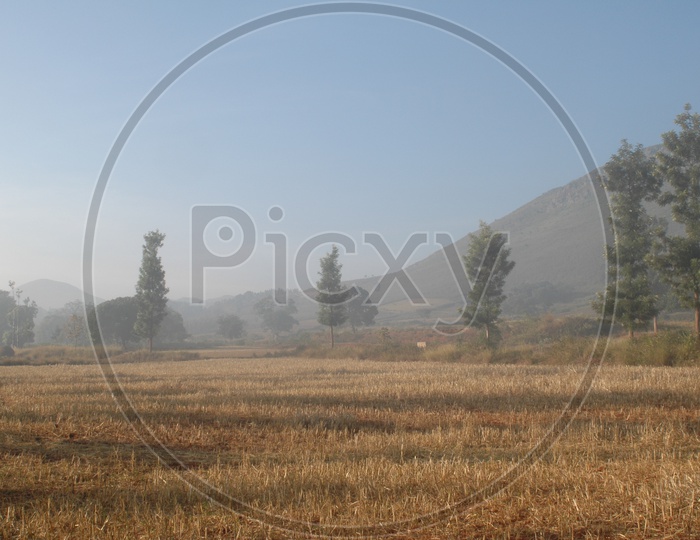 Harvested Fields in the Araku valley
