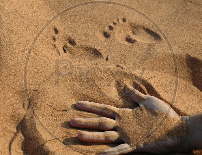 Hand and foot prints on the sand