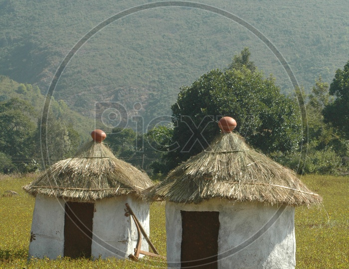 Thatched huts in the fields of Araku valley
