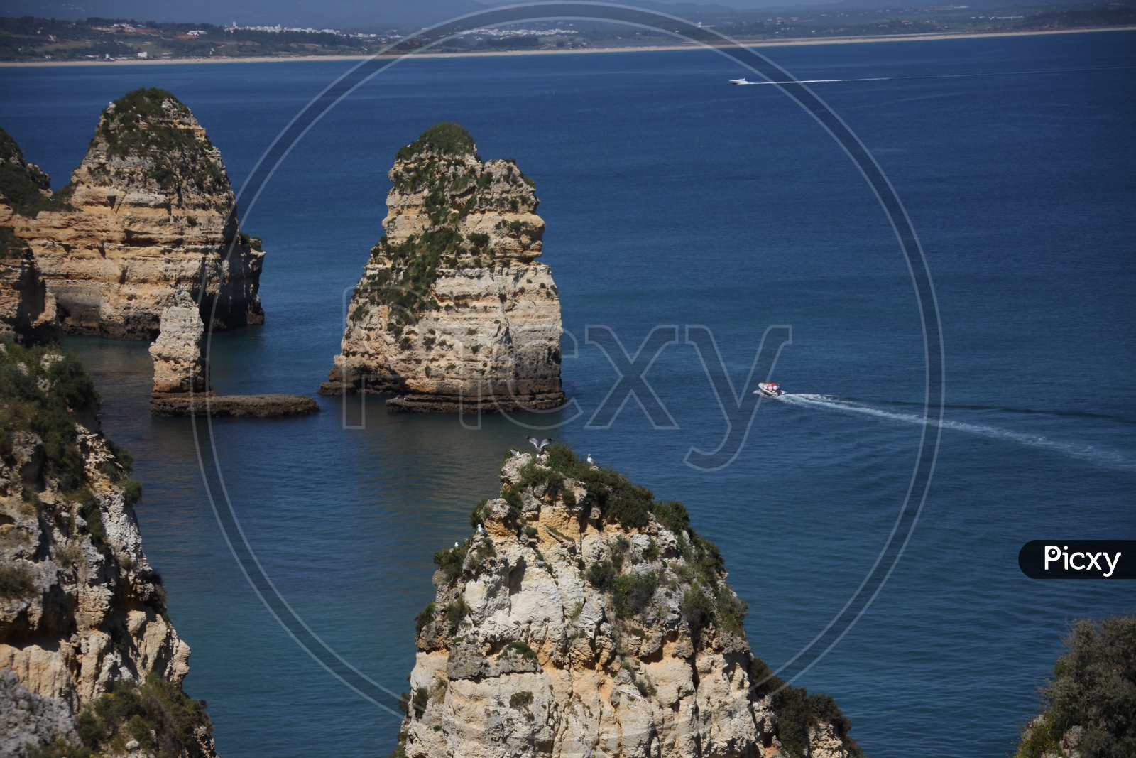 a speed boat moving on the sea at ponta da piedade