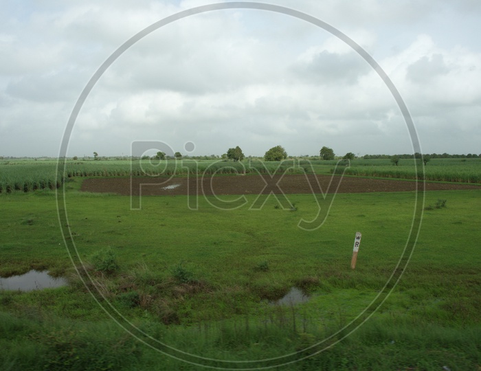 Landscape of Agriculture fields