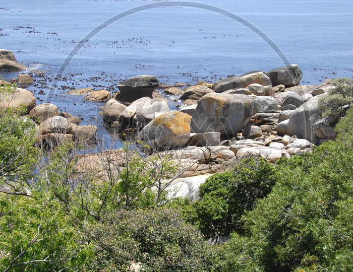Shore with rocks and trees around