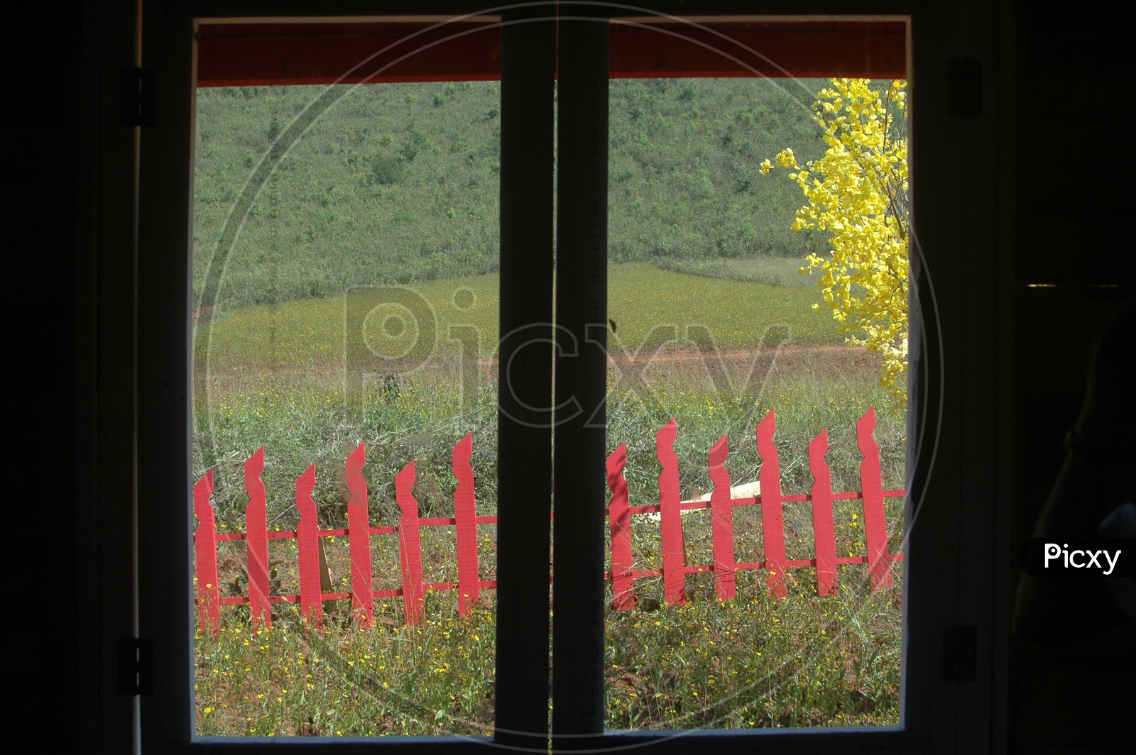 View of the meadows in the Araku valley through a glass window