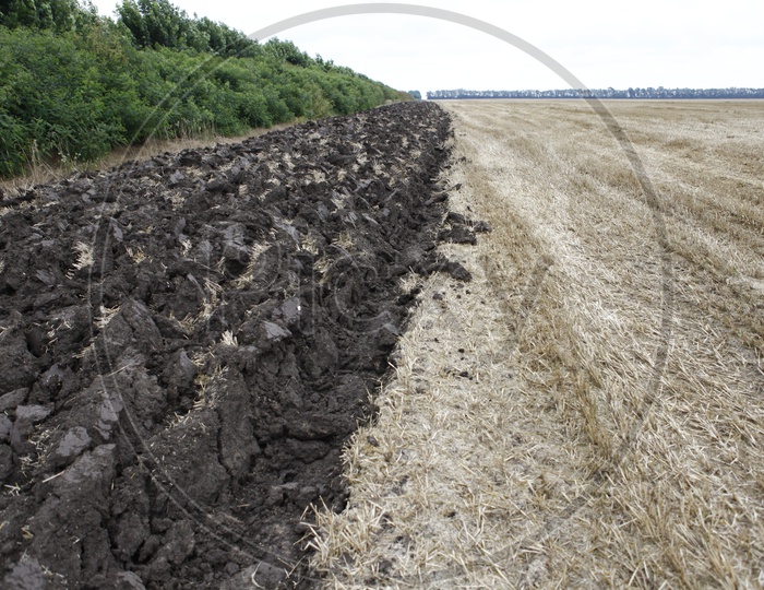 Farm land with ploughed soil in the left