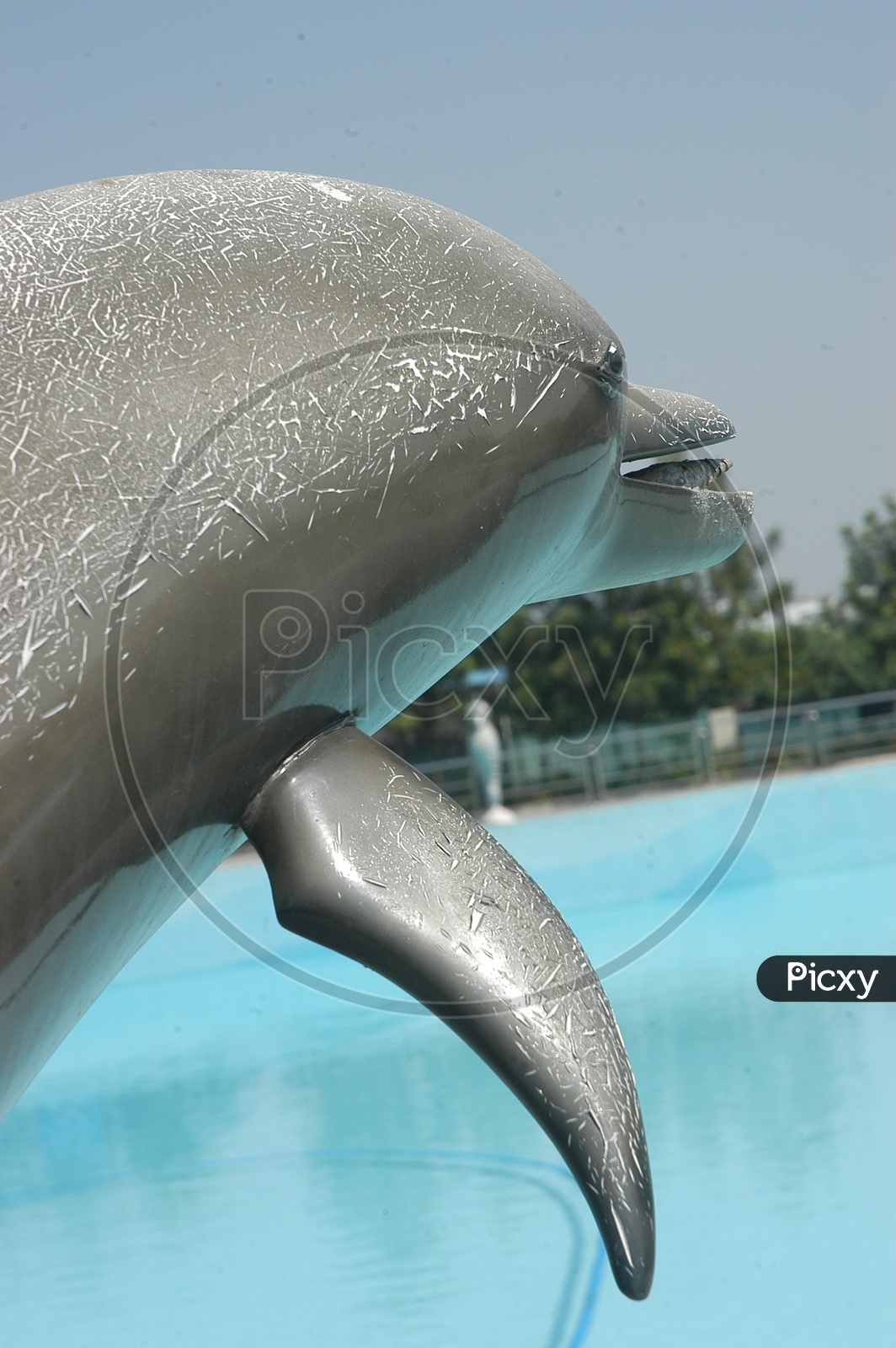 Artificial dolphins in Jalavihar water park