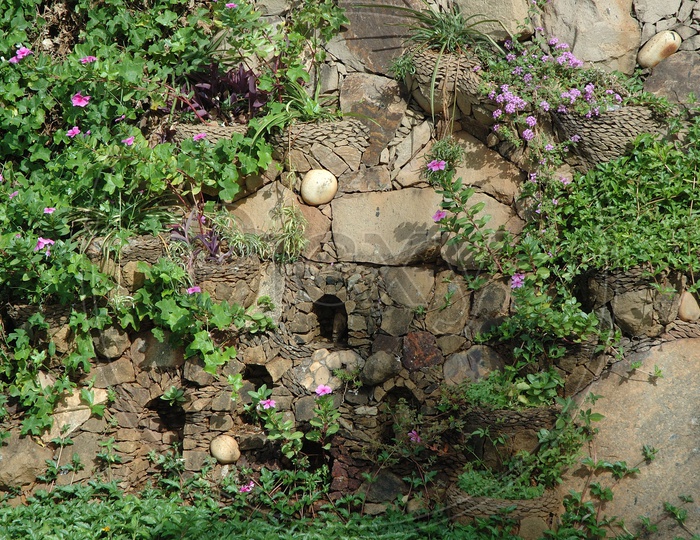 Stone wall with plants