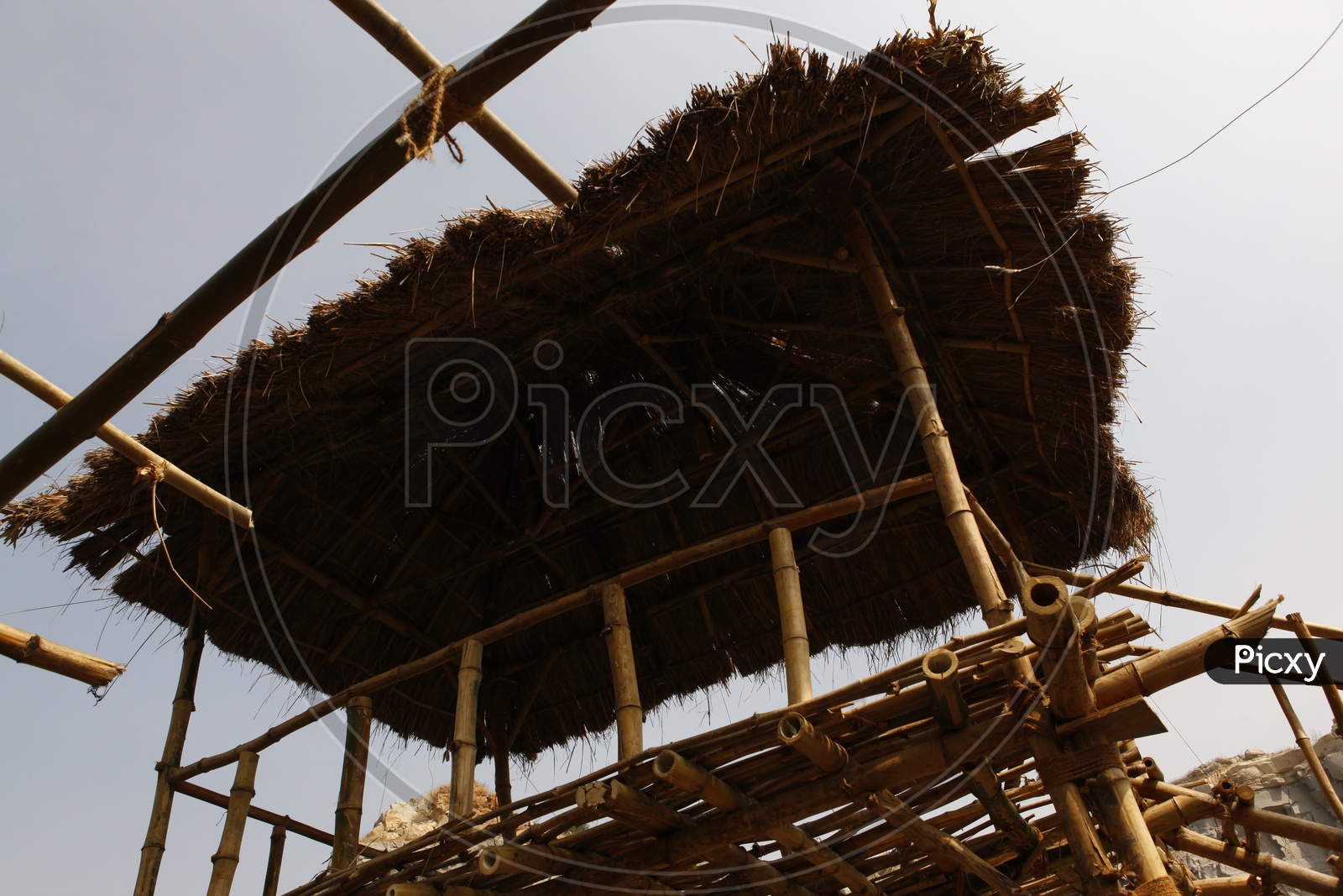 Thatched roof over a wooden poles structure