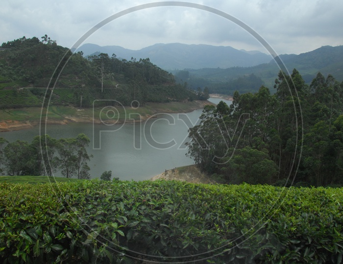 Lake view from tea plantations