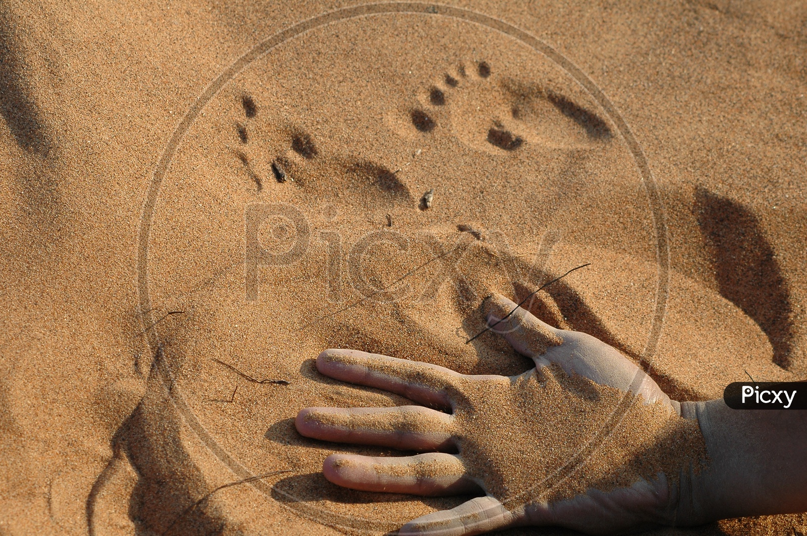 Hand and foot prints on the sand