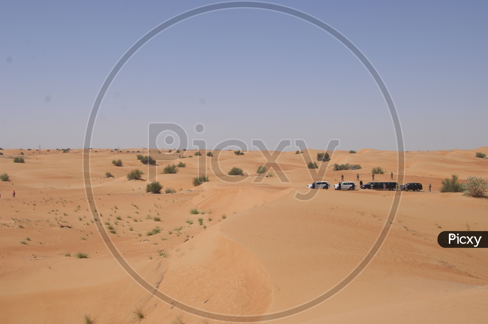 Security Guards With Cars in Desert