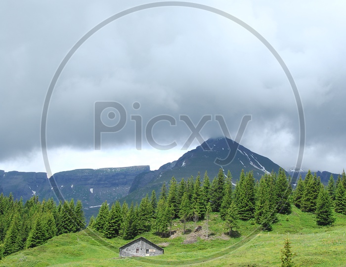 A swiss farm house with Swiss Alps in the background