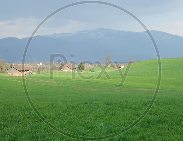 Green Meadow alongside the Swiss Alps