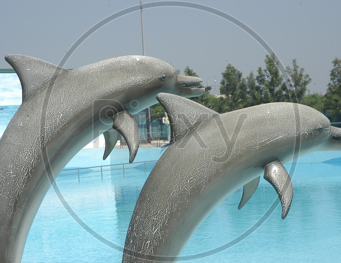 Artificial dolphins in Jalavihar water park