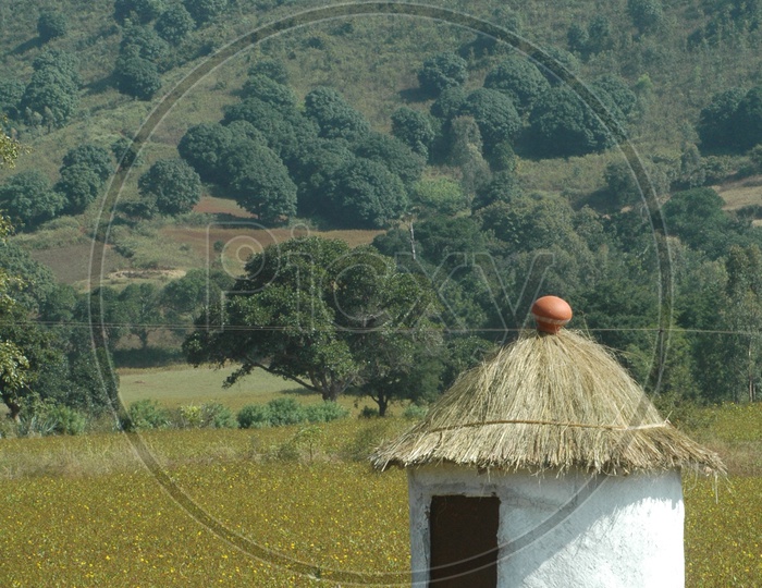 Thatched hut in the fields of Araku valley