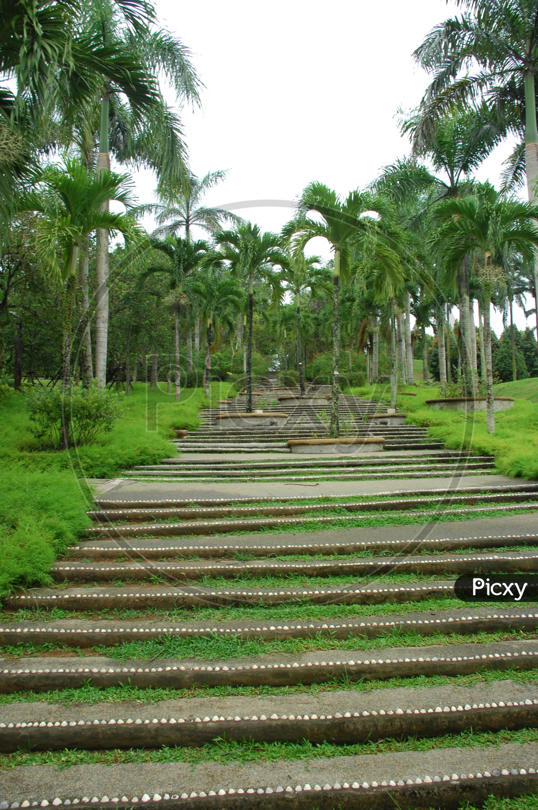 Steps in park