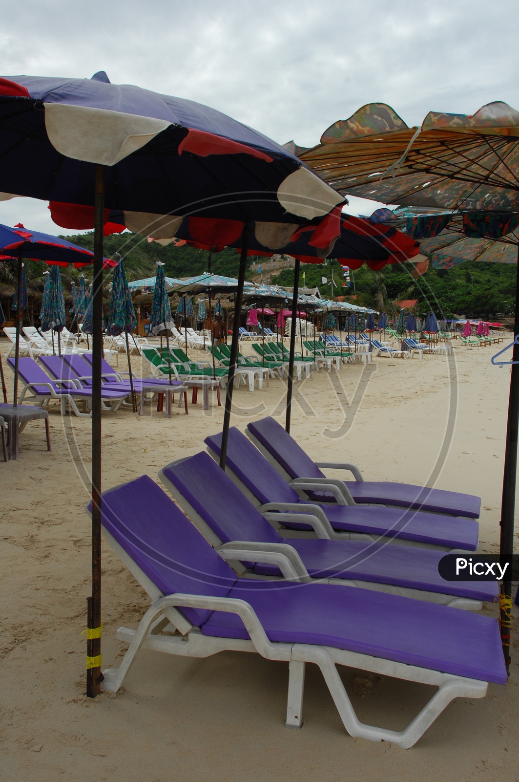 Pool chairs and umbrellas on the seashore
