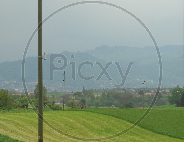 Electric Pole in the midst of a Grassland