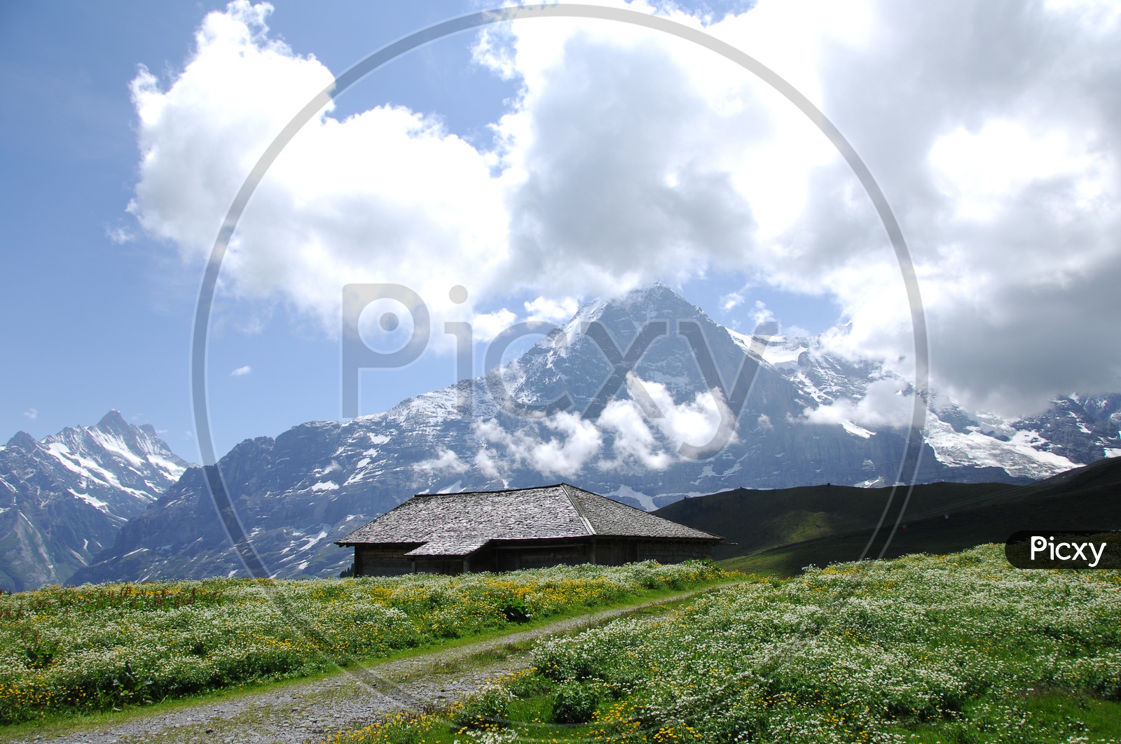 A swiss farm house with Swiss Alps in the background