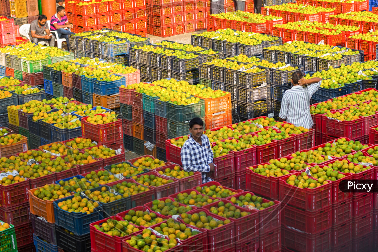 Vendor at Kothapet Fruit Market, Hyderabad