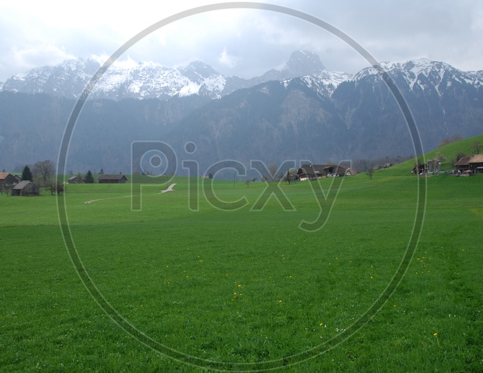 Green Meadows alongside the Swiss Alps