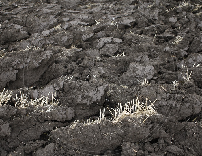 Black ploughed soil