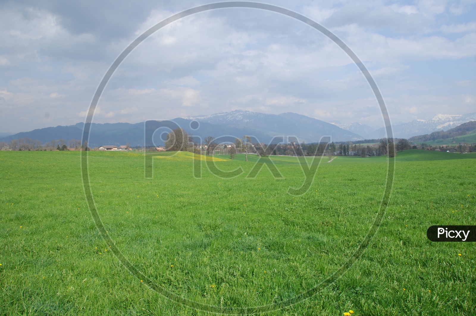 Landscape of Green lawn with Swiss Alps in background