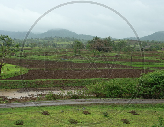 landscape view of agriculture fields