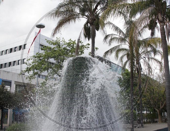 Water fountain alongside the Palm trees