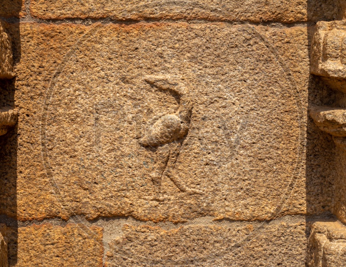 The Bird carving