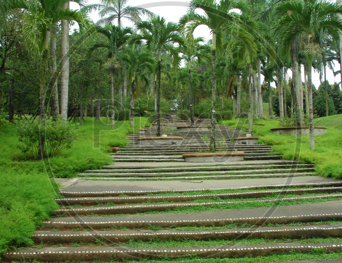 Steps in park