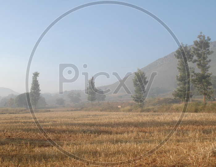 Harvested fields in the Araku Valley