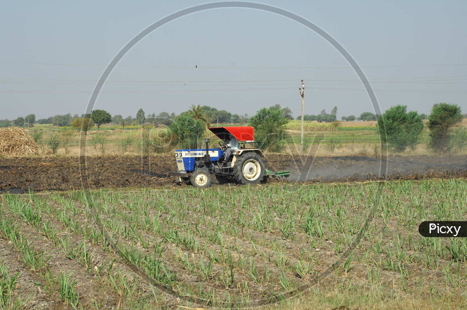 A Farmer Ploughing His Farm With Tractor in Sugar Cane Field